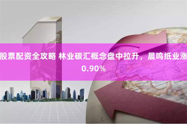 股票配资全攻略 林业碳汇概念盘中拉升，晨鸣纸业涨0.90%