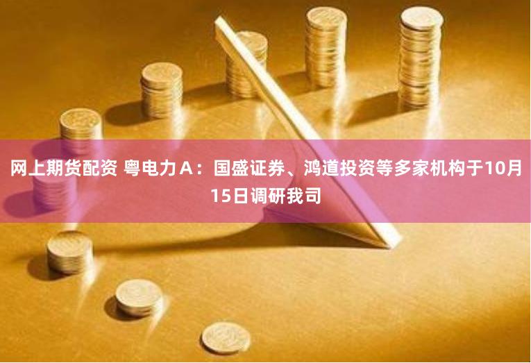 网上期货配资 粤电力Ａ：国盛证券、鸿道投资等多家机构于10月15日调研我司
