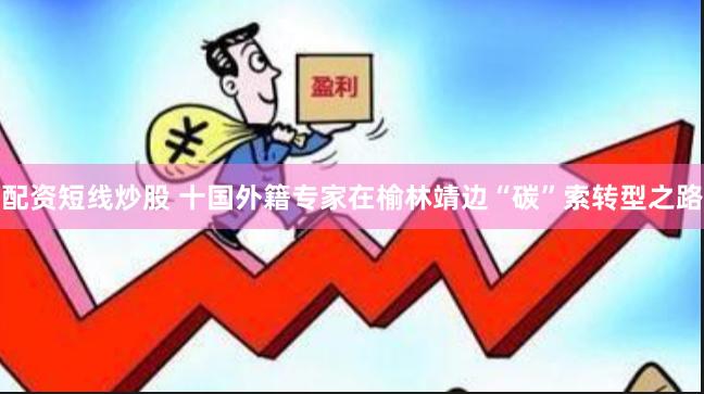 配资短线炒股 十国外籍专家在榆林靖边“碳”索转型之路