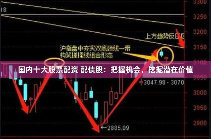 国内十大股票配资 配债股：把握机会，挖掘潜在价值