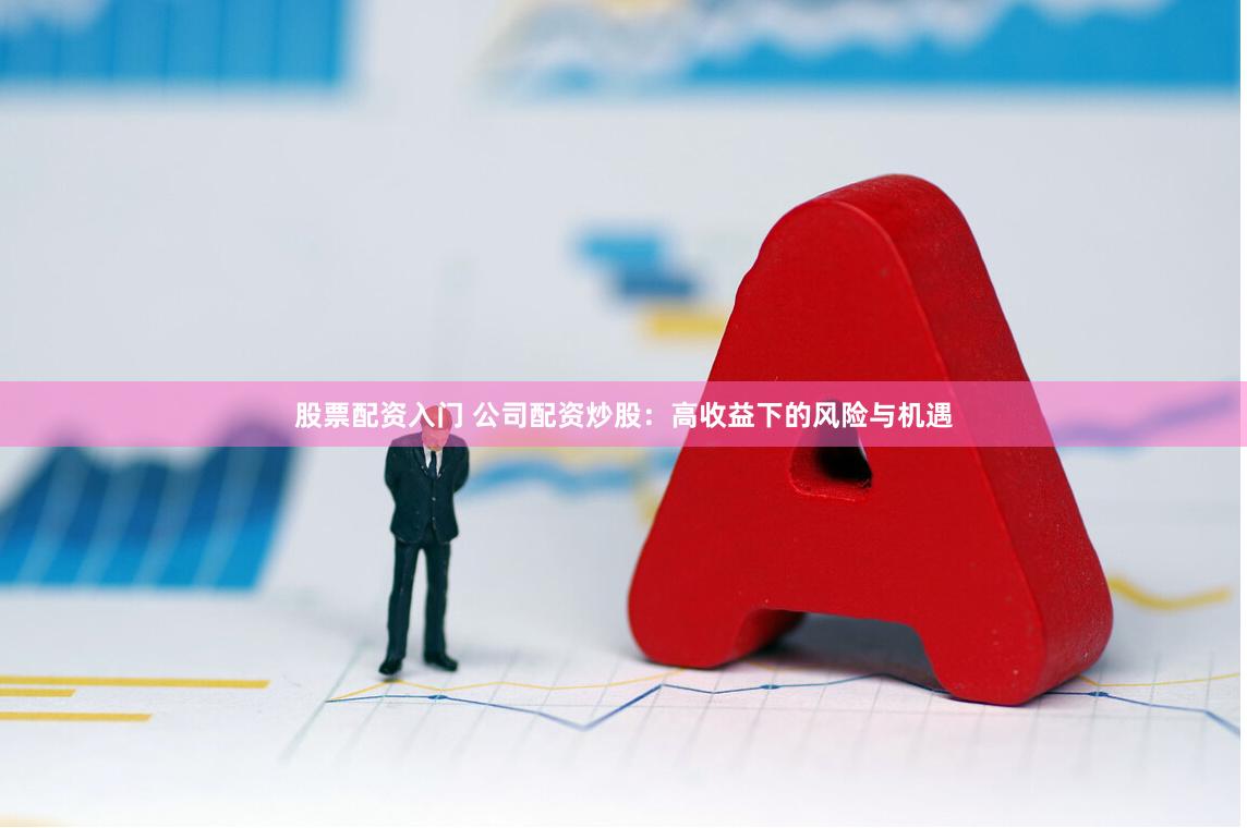 股票配资入门 公司配资炒股：高收益下的风险与机遇